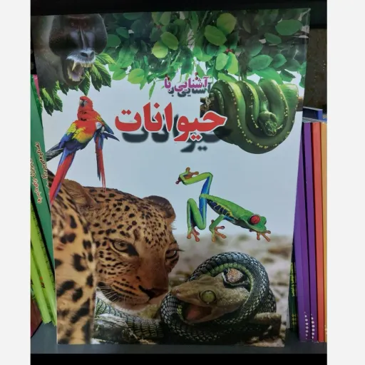کتاب آشنایی با حیوانات (علمی کودک) اثر علی ذوالفقاری