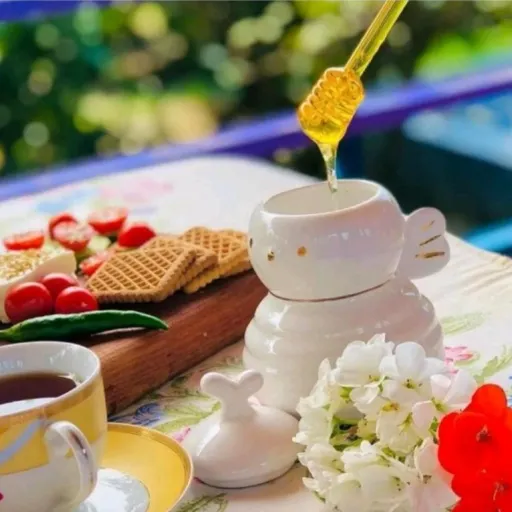 عسل خوری باریز سرامیکی طرح زنبور