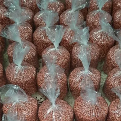 بادام زمینی آستانه اشرفیه عمده درشت و درجه یک محصول 1404 (5000 گرمی)