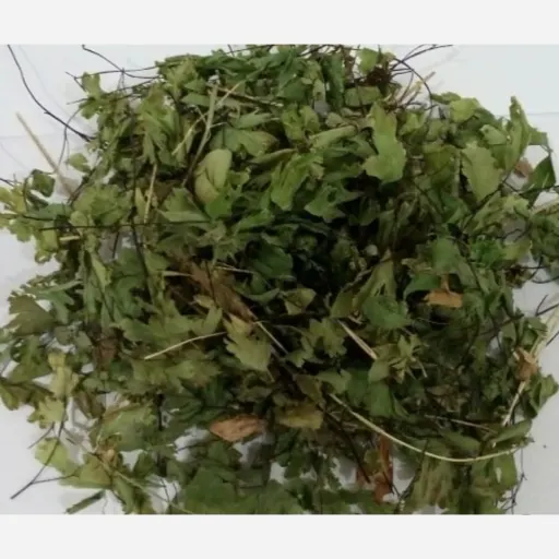 پرسیاوش 100 گرمی