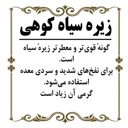 زیره سیاه کوهی 100گرم