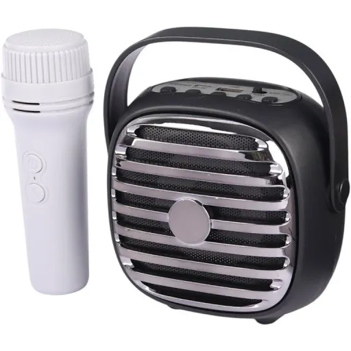 اسپیکر karaoke KTS1943