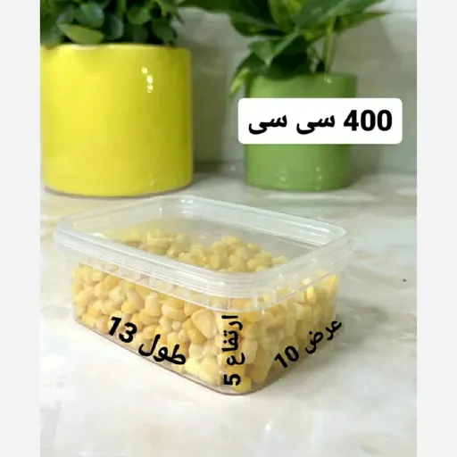 ظرف فریزری400میل