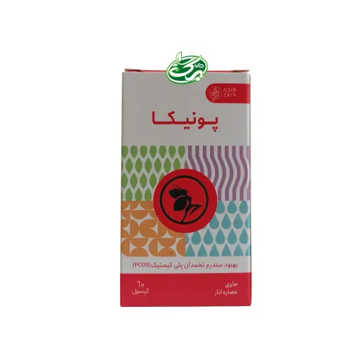 کپسول پونیکا ادیب