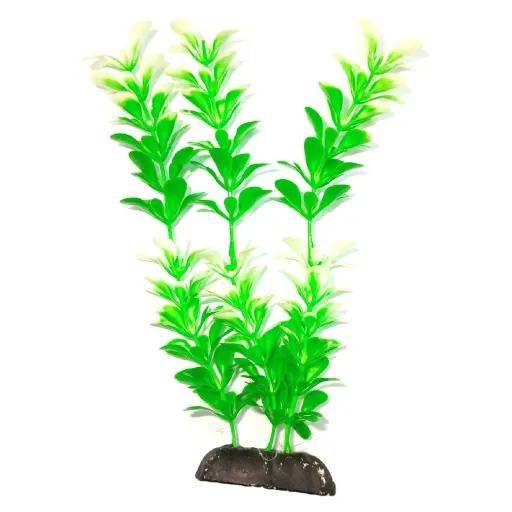 گیاه تزیینی آکواریوم کد 1057 رنگ سبز چمنی