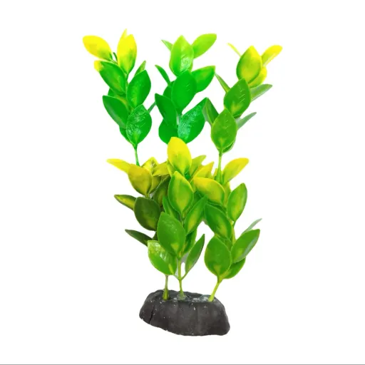 گیاه تزیینی آکواریوم کد 1059 رنگ سبز
