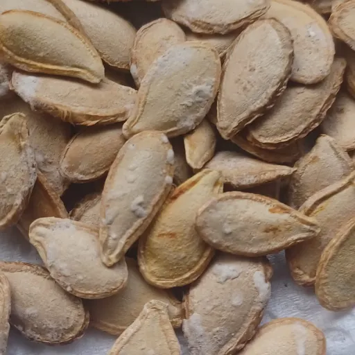 تخمه کدو حلوایی، محلی آستانه اشرفیه تازه وبرشته تازه 250 گرم 