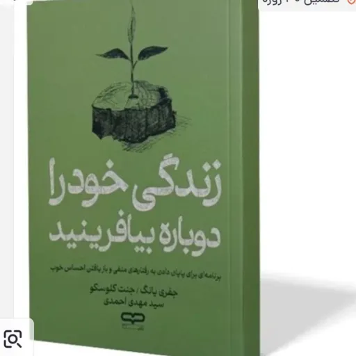 کتاب زندگی خود را دوباره بیافرینید یانگ (روان شناسی، خودیاری) یارنیک