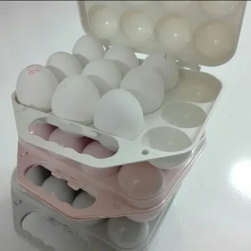 جا تخم مرغ مهر دسته دار مسافرتی ، استند تخم مرغ  جا تخم مرغی نظم دهنده  رنگ آبی