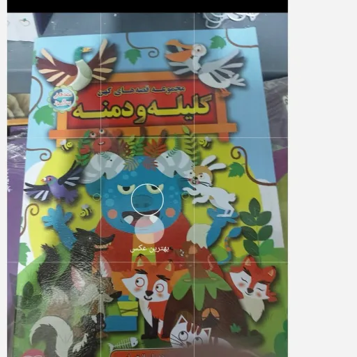  کتاب کلیله و دمنه جلد گالینگور(کتاب حاضر دارای جلد سخت می باشد ، جنس صفحات از کاغذ بالک (دوستدار طبیعت) و بسیار سبک)