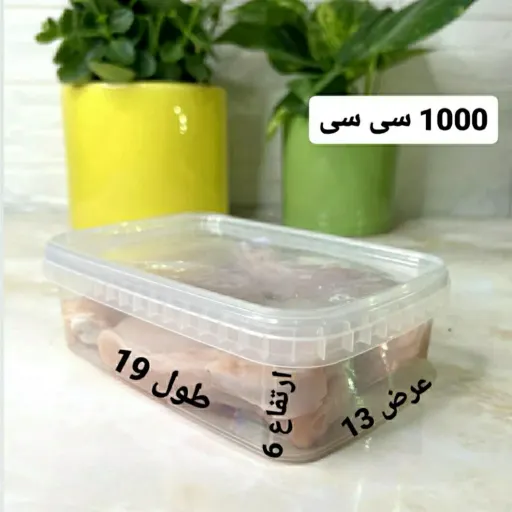 ظرف فریزری 1000میل