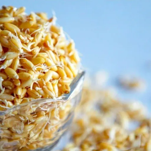 پودر جوانه گندم یک کیلویی