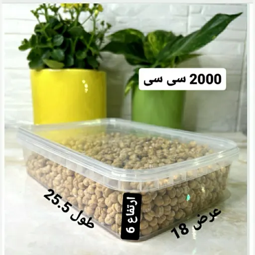 ظرف فریزری درب دار 2000میل