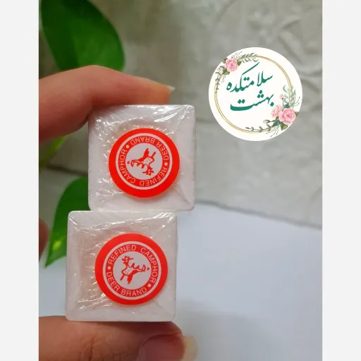کافور اصل بدون مواد افزودنی 1حبه سلامتکده بهشت