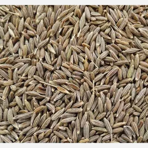 زیره سبز کرمان یک کیلویی درشت و تمیز
