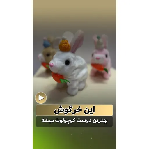 خرگوش کیوت و دونده