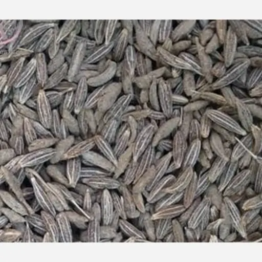 زیره سیاه کاشتی اعلا 100 گرمی