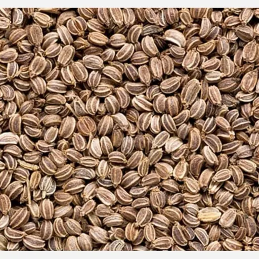 تخم کرفس 100 گرم