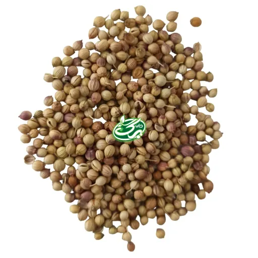تخم گشنیز اعلاء داروبرگ