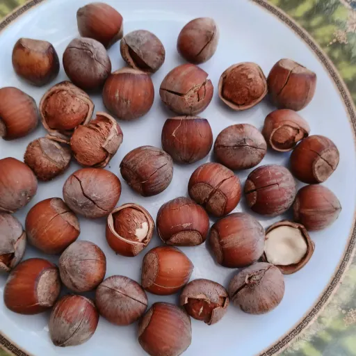 فندق شکسته خندان خام،تازه امساله و تازه 1000گرمی