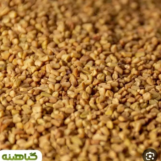 تخم شنبلیله 1 کیلو 