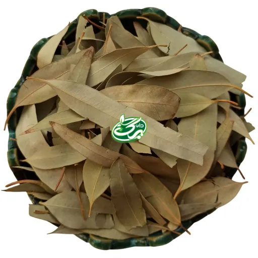 برگ اکالیپتوس وزن ۱۰۰ گرمی