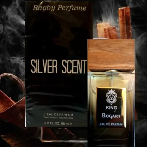 عطر ادکلن سیلور اسکنت SILVER SCENT برند راگبی 55 میل