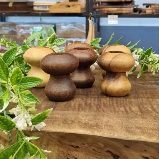 جاخلال دندان چوبی طرح قارچ
