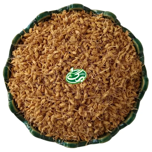 جوانه گندم نوع محصول سالم (ناساب)