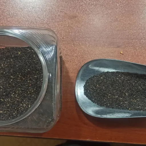 بذر ریحان سیاه/بنفش 20 گرم