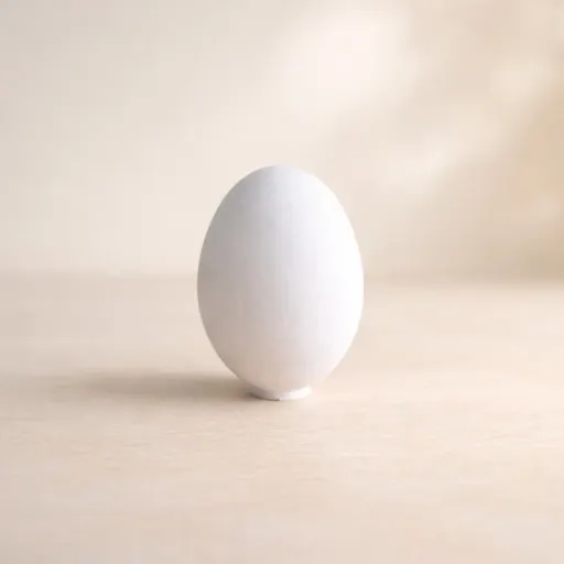 قالب سیلیکونی تخم مرغ ساده