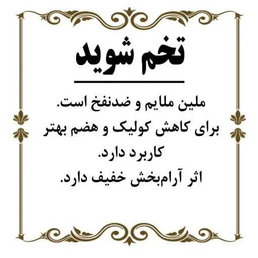 تخم شوید 200گرم