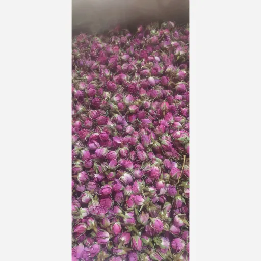 غنچه اطراف لاله زار یک کیلو اعلا بدون نرمه