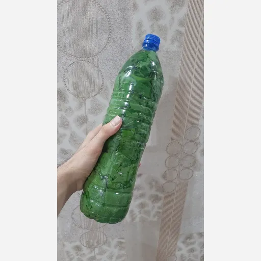 برگ مو بطری یک و نیم لیتری 