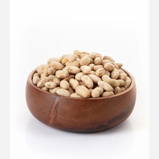 آجیل سویا 500 گرم