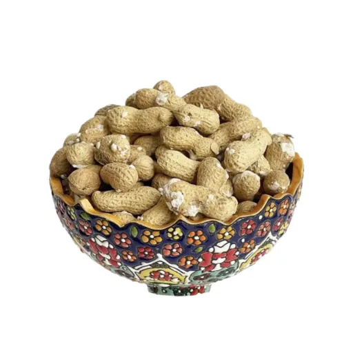 بادام زمینی غلاف دار نمکی 500 گرم
