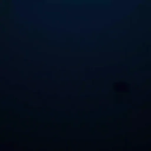 ترمه هاشمی یزد