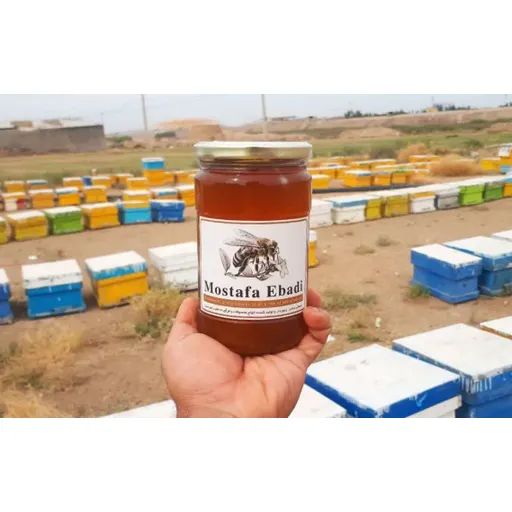 عسل آویشن کوهی