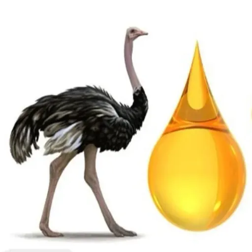 روغن شتر مرغ اصل سنتی و خالص 60 سی سی
