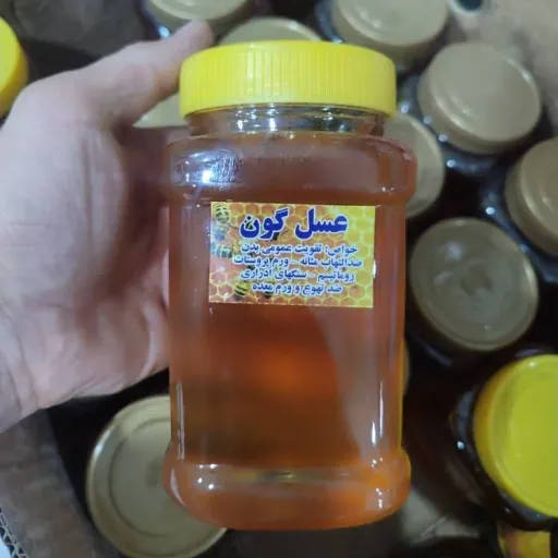 عسل گون (یک کیلویی)
