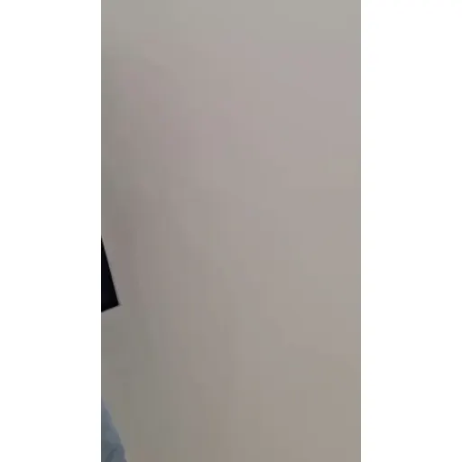 توت بگ
