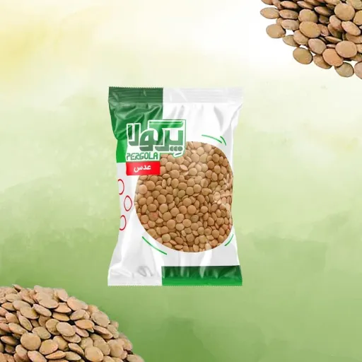 عدس 900 گرمی پرگولا