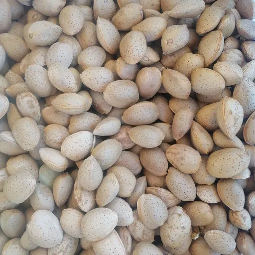 بادام درختی شیرین تازه و اعلا یک کیلویی 