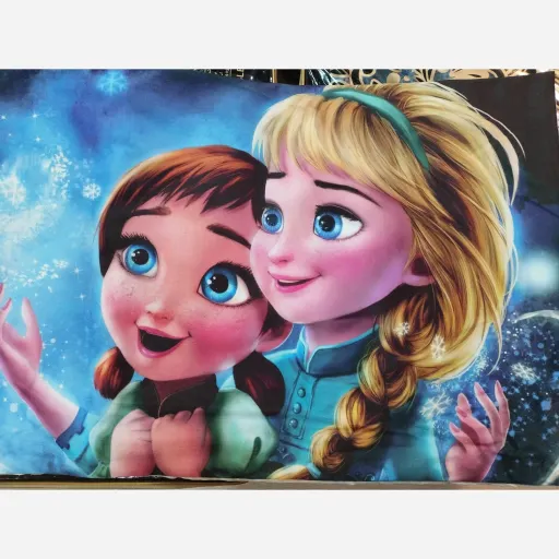 روبالشتی عروسکی دخترانه آنا السا 2 دیجیتالی 3d جنس روبالش مخمل پورشه ترک 