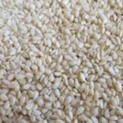 کنجد سفید 1 کیلو یک کیلو