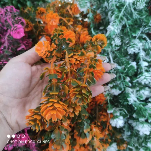 اویز شمشاد شمشادقاصدک رنگ نارنجی جذاب