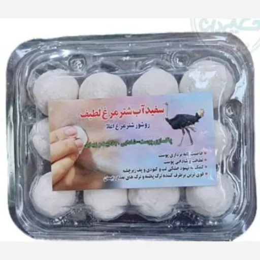 سفید آب شترمرغ با روغن شترمرغ 