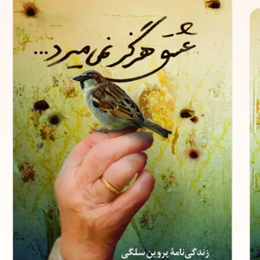کتاب عشق هرگز  نمی میرد