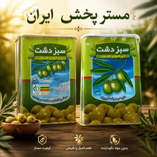زیتون سبزدشت 2700 گرم 