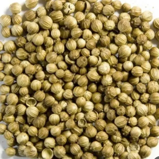 دانه گشنیز 100 گرم